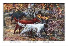 Cocker Spaniel, Clumber Spaniel, and Field Spaniel-Louis Agassiz Fuertes-Art Print