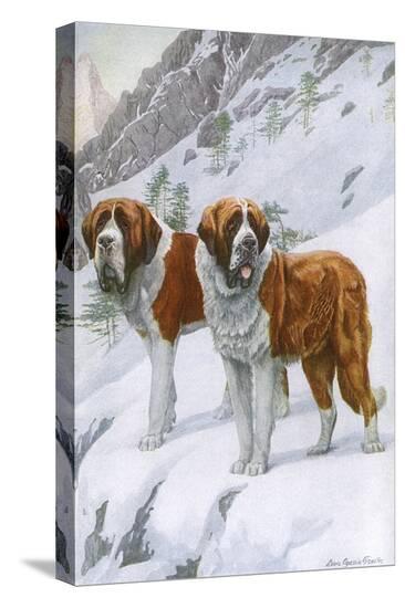 Stretched Canvas Print, , large