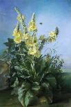 Yellow Flowers in Front of the Blue Sky-Louis-Apollinaire Sicard-Mounted Giclee Print