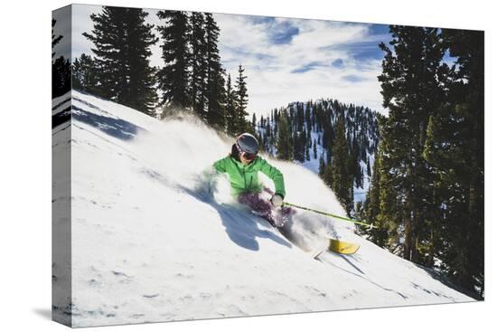Stretched Canvas Print, , large