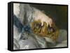 Louis de France, dauphin (1729-1765)-Alexis Simon Belle-Framed Stretched Canvas