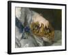 Louis de France, dauphin (1729-1765)-Alexis Simon Belle-Framed Giclee Print