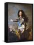 Louis De France, Duke of Burgundy-Hyacinthe Rigaud-Framed Stretched Canvas