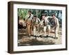 Louis de Funès, Michel Galabru, Jean Lefevre and Christian Marin: Le Gendarme de Saint-Tropez, 1964-Marcel Dole-Framed Premium Photographic Print