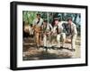 Louis de Funès, Michel Galabru, Jean Lefevre and Christian Marin: Le Gendarme de Saint-Tropez, 1964-Marcel Dole-Framed Premium Photographic Print