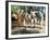 Louis de Funès, Michel Galabru, Jean Lefevre and Christian Marin: Le Gendarme de Saint-Tropez, 1964-Marcel Dole-Framed Photographic Print