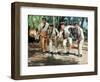 Louis de Funès, Michel Galabru, Jean Lefevre and Christian Marin: Le Gendarme de Saint-Tropez, 1964-Marcel Dole-Framed Photographic Print