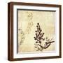 Brown Frame