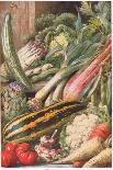 Garden Vegetables, Illustration from 'Garden Ways and Garden Days'-Louis Fairfax Muckley-Giclee Print