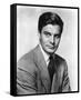 Louis Jourdan-null-Framed Stretched Canvas