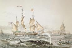 Whaling Off the Cape of Good Hope-Louis Lebreton-Giclee Print