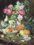 Roses in a Vase, Pears in a Porcelain Bowl and Fruit on an Oak Table-Louis Marie De Schryver-Laminated Giclee Print