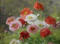 Cluster of Poppies, 1884-Louis Marie Lemaire-Framed Stretched Canvas