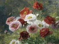 Cluster of Poppies, 1884-Louis Marie Lemaire-Framed Stretched Canvas