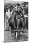 Louis Mountbatten Wheels His Cousin, the Prince of Wales, at a Gymkhana in Malta, 1936-null-Mounted Giclee Print