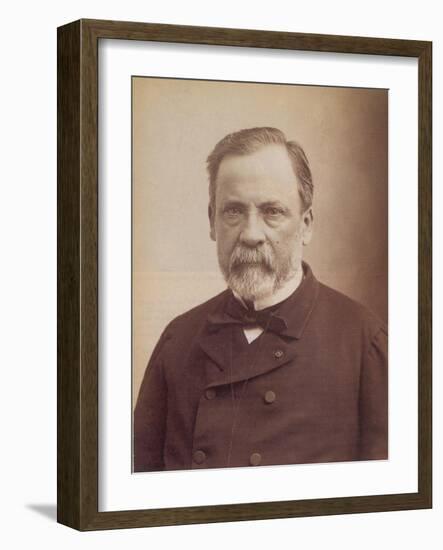 Louis Pasteur, French Bacteriologist-Science Source-Framed Giclee Print