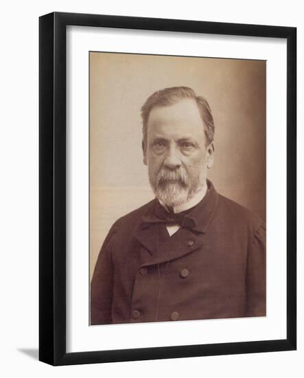 Louis Pasteur, French Bacteriologist-Science Source-Framed Giclee Print