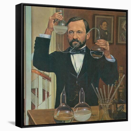 Louis Pasteur French Chemist and Microbiologist, in His Laboratory, Ca. 1880s-null-Framed Stretched Canvas