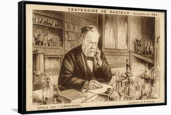 Louis Pasteur French Chemist and Microbiologist in His Laboratory-H. Wagner-Framed Stretched Canvas