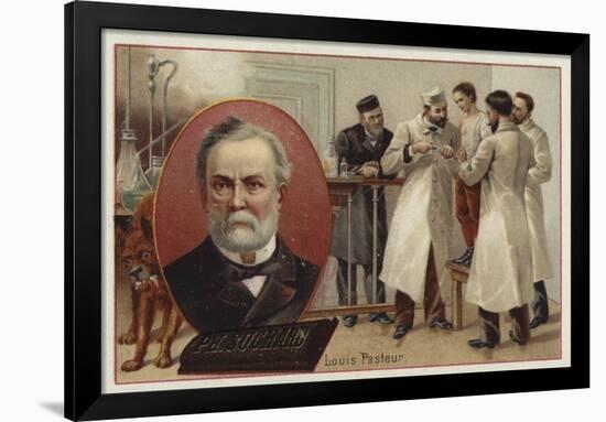 Louis Pasteur, French Chemist and Microbiologist-null-Framed Giclee Print