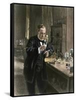 Louis Pasteur in His Laboratory-null-Framed Stretched Canvas