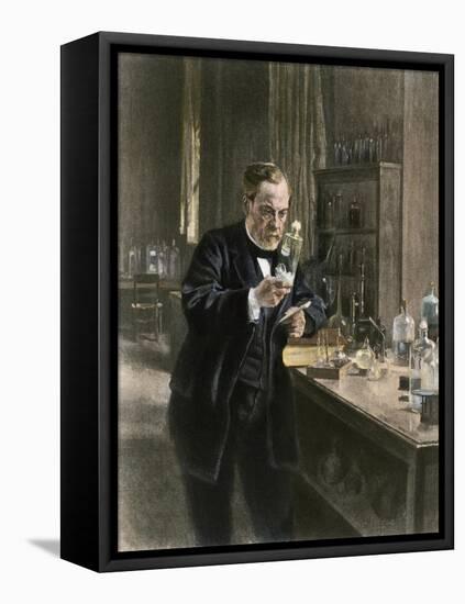Louis Pasteur in His Laboratory-null-Framed Stretched Canvas