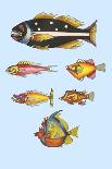 Rarest Curiosities of the Fish of the Indies-Louis Renard-Laminated Art Print