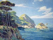 Point Lobos-Louis Sharp-Laminated Art Print