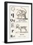 Black Frame
