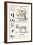 Brown Frame