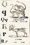 Just the Print