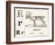 Chelsea Espresso