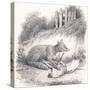 Stretched Canvas
