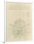 Gramercy White