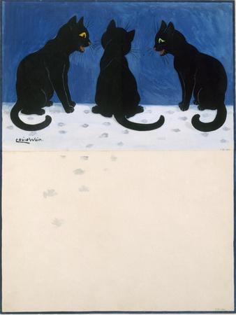 Black Cats in the Snow