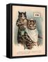 Louis Wain Cats-Louis Wain-Framed Stretched Canvas