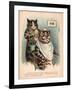 Louis Wain Cats-Louis Wain-Framed Giclee Print