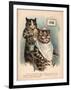 Louis Wain Cats-Louis Wain-Framed Giclee Print