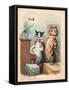 Louis Wain Cats-Louis Wain-Framed Stretched Canvas