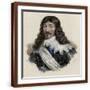 Brown Frame