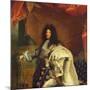 Louis XIV in Royal Costume, 1701 (Detail)-Hyacinthe Rigaud-Mounted Giclee Print