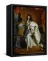 Louis XIV, King of France (1638-1715) in Royal Costume, 1701-Hyacinthe Rigaud-Framed Stretched Canvas