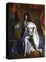 Louis XIV, King of France-Hyacinthe Rigaud-Stretched Canvas