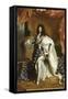 Louis XIV, roi de France, portrait en pied en costume royal-Hyacinthe Rigaud-Framed Stretched Canvas