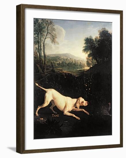 Louis XIV's Dog, Tane-Alexandre-Francois Desportes-Framed Premium Giclee Print