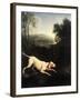 Louis XIV's Dog, Tane-Alexandre-Francois Desportes-Framed Premium Giclee Print