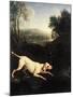 Louis XIV's Dog, Tane-Alexandre-Francois Desportes-Mounted Premium Giclee Print