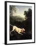 Louis XIV's Dog, Tane-Alexandre-Francois Desportes-Framed Giclee Print