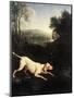 Louis XIV's Dog, Tane-Alexandre-Francois Desportes-Mounted Giclee Print