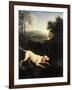 Louis XIV's Dog, Tane-Alexandre-Francois Desportes-Framed Giclee Print